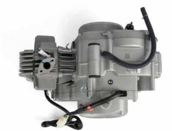 Motor für Dirtbike Kayo KMB 60